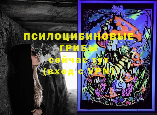 а пвп мука Корсаков
