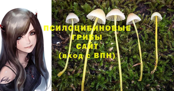 прущая мука Костерёво
