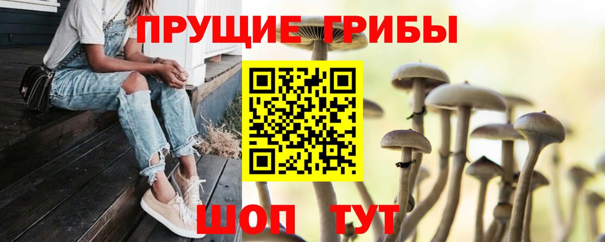 Галлюциногенные грибы прущие грибы Ноябрьск